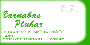 barnabas pluhar business card